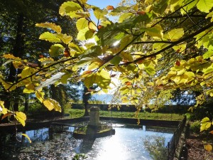 Herbst Schloss Grünenstein 2014-1        