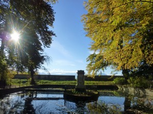 Herbst Schloss Grünenstein 2014-3         