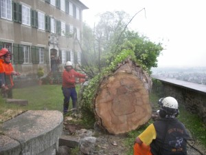 Lindentransport 23.05.05 041  