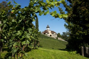 Schloss Gruenenstein 194          